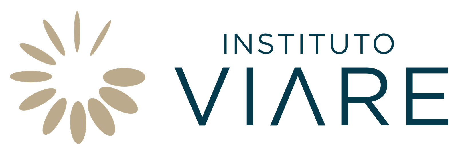 Instituto Viare